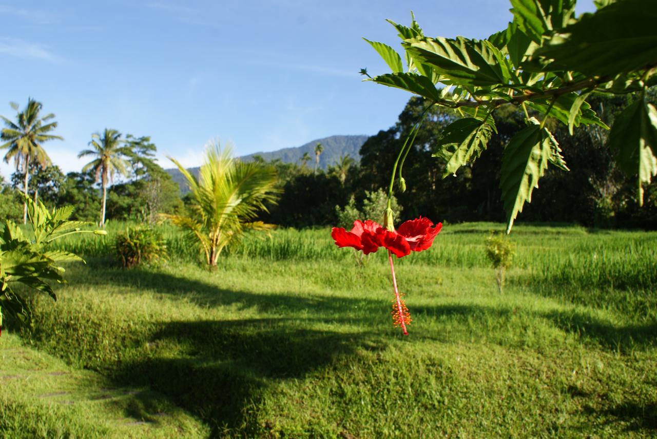 Prana Dewi Mountain Resort Jatiluwih Esterno foto