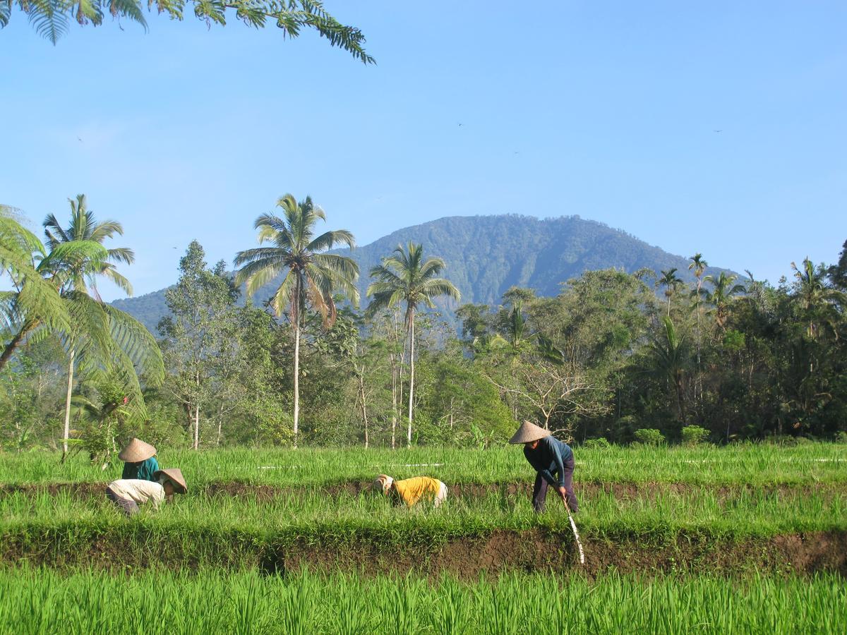 Prana Dewi Mountain Resort Jatiluwih Esterno foto