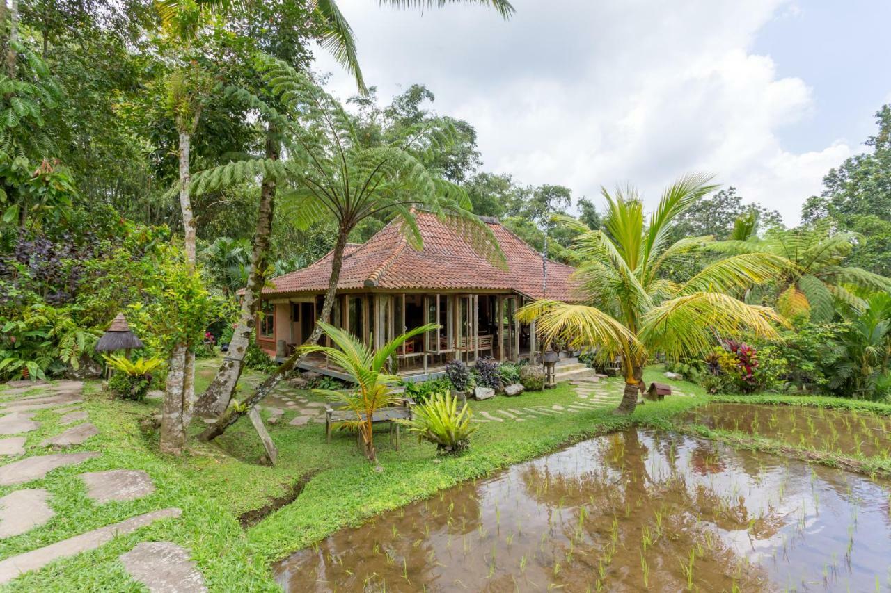 Prana Dewi Mountain Resort Jatiluwih Esterno foto