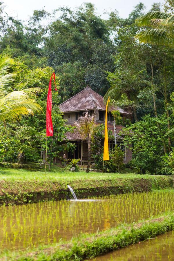 Prana Dewi Mountain Resort Jatiluwih Esterno foto